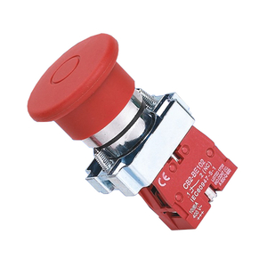 Interruptor de bot&oacute;n pulsador XB2-BT